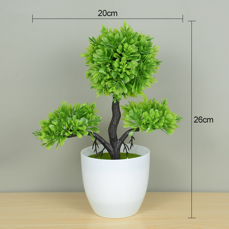 Planta Bonsai