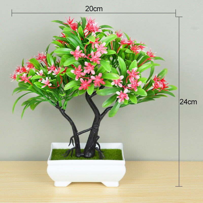 Planta Bonsai