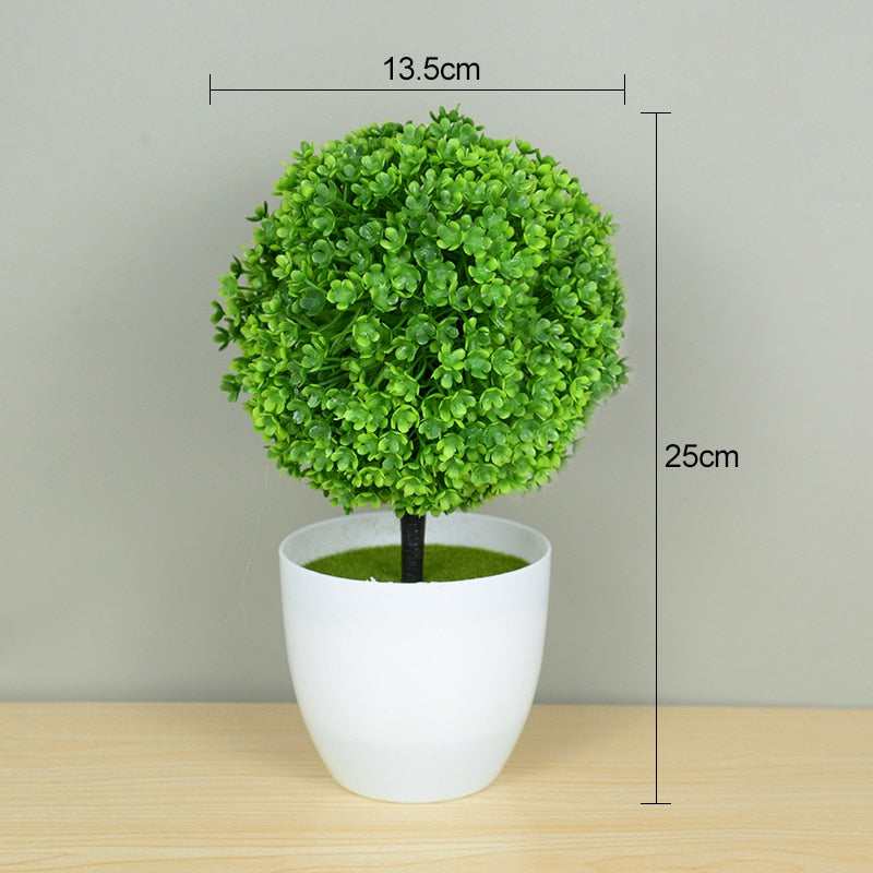 Planta Bonsai