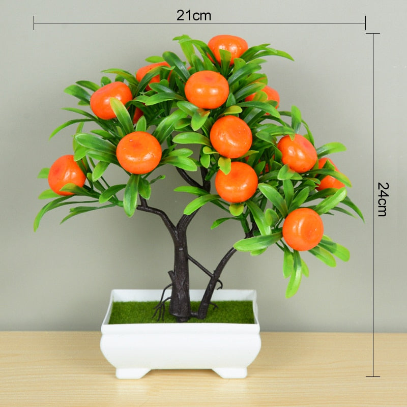 Planta Bonsai