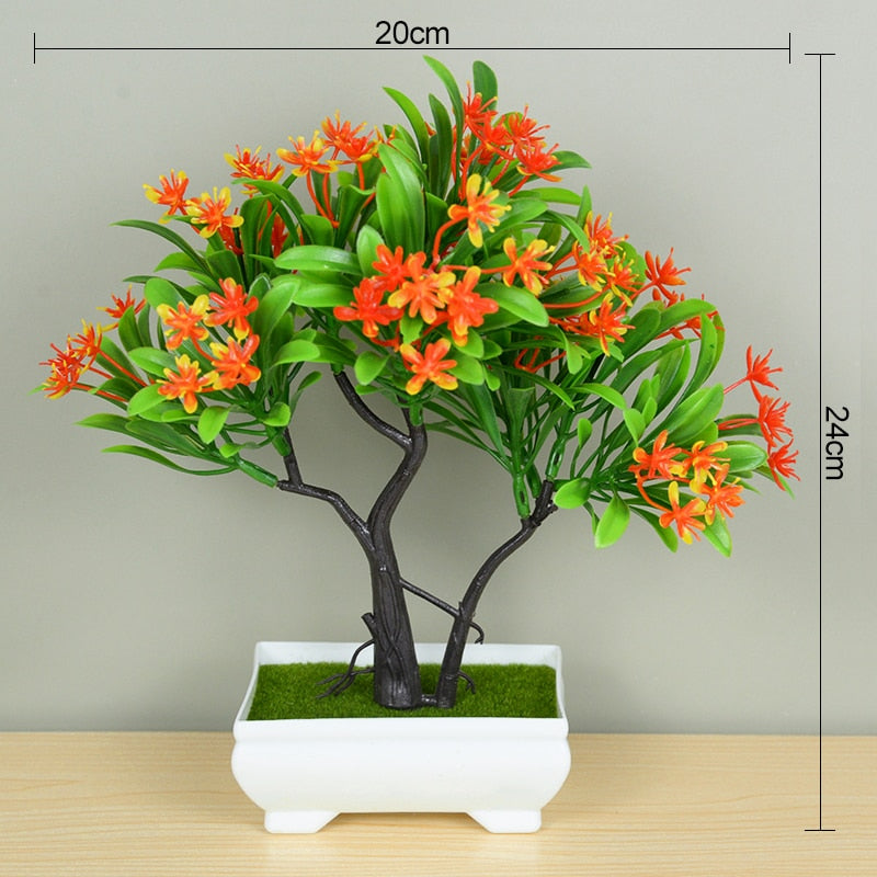 Planta Bonsai