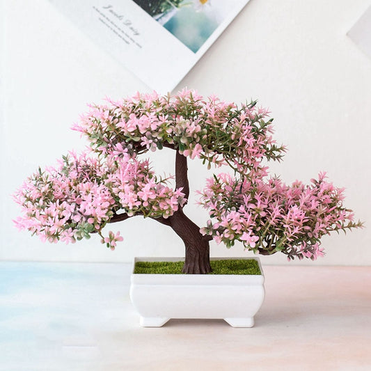 Planta Bonsai