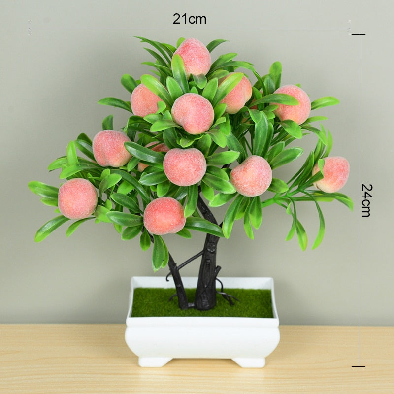 Planta Bonsai