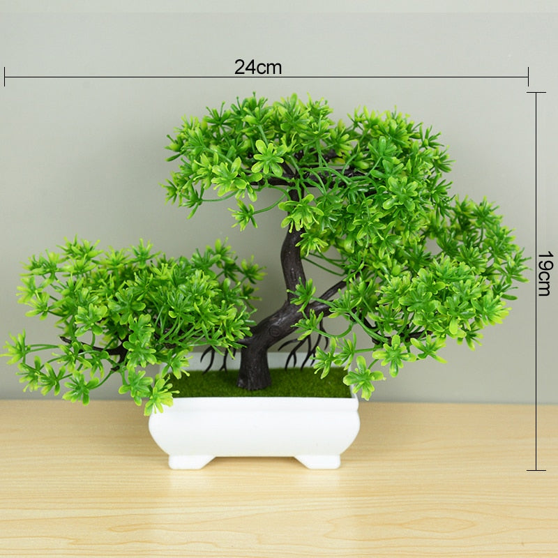 Planta Bonsai