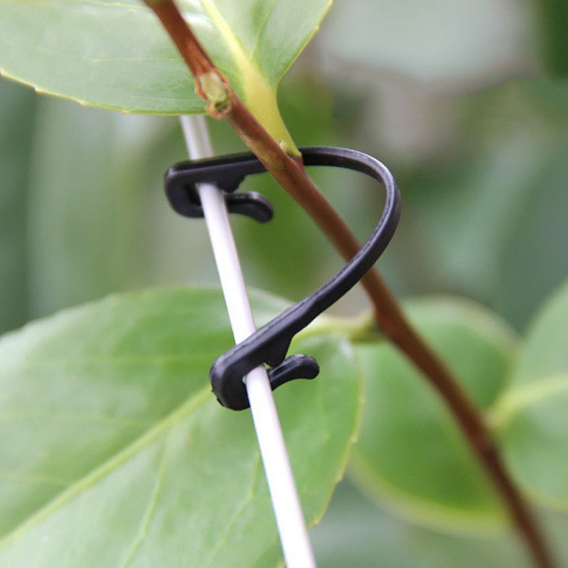 Clipes de fixação de plantas - 20/100PCS