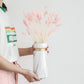 H71c09a2013a94f1e8ddd2e6bbb9086des.jpg