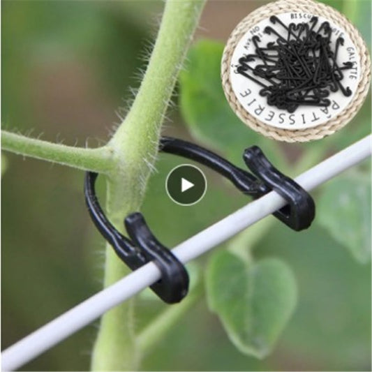 Clipes de fixação de plantas - 20/100PCS