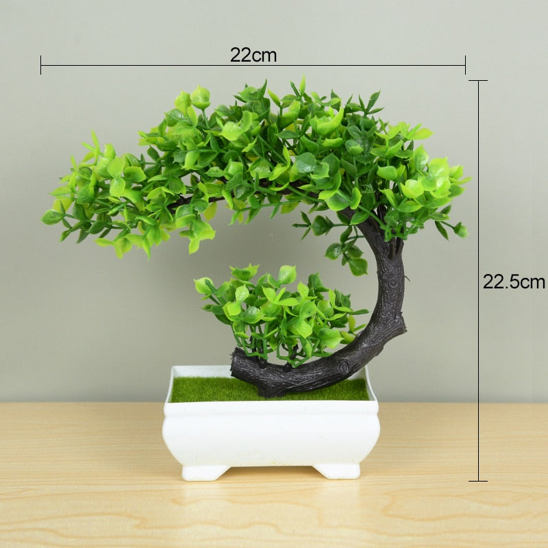 Planta Bonsai
