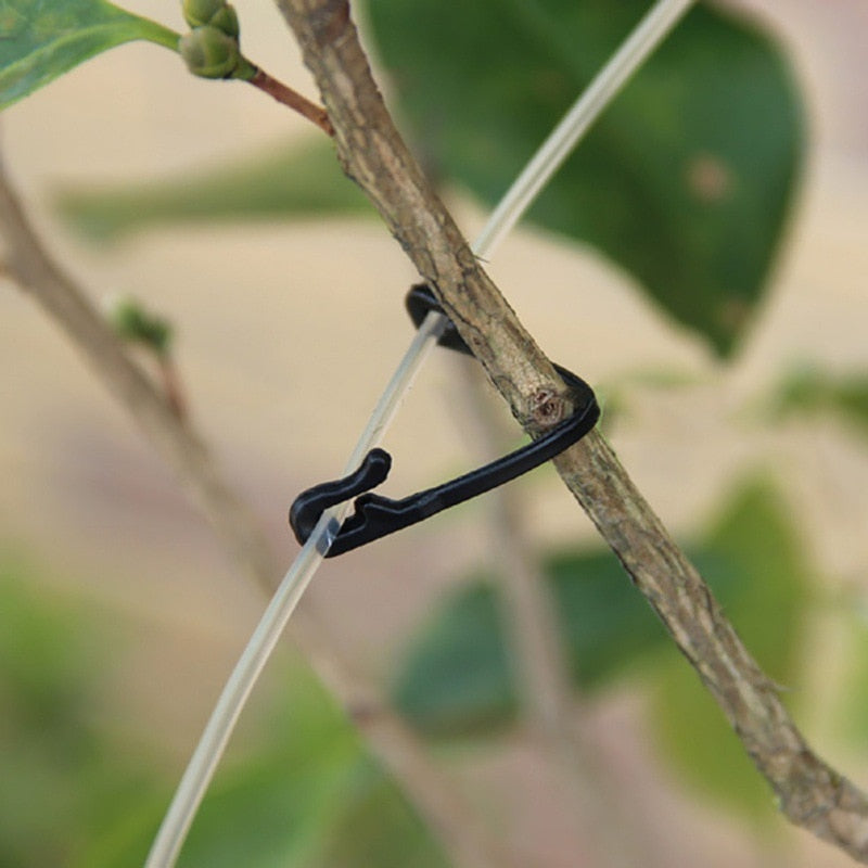 Clipes de fixação de plantas - 20/100PCS
