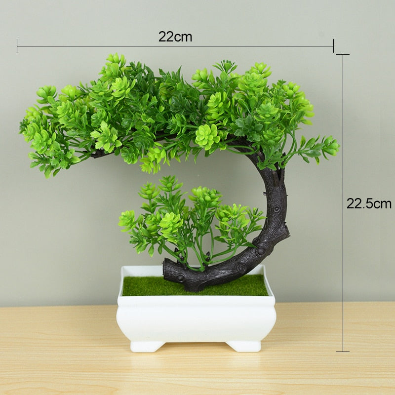 Planta Bonsai