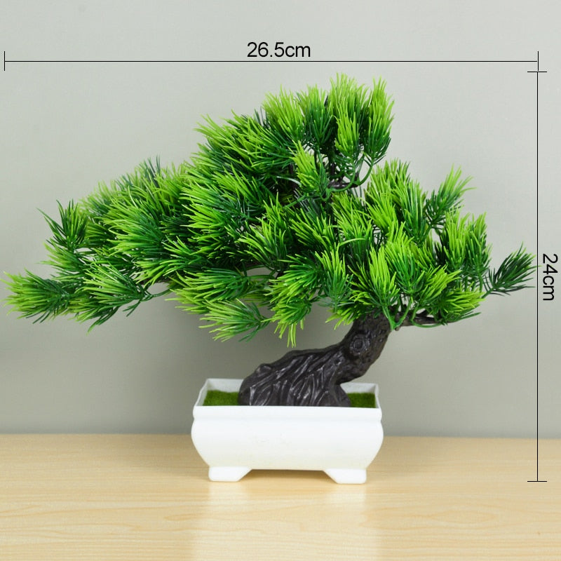 Planta Bonsai