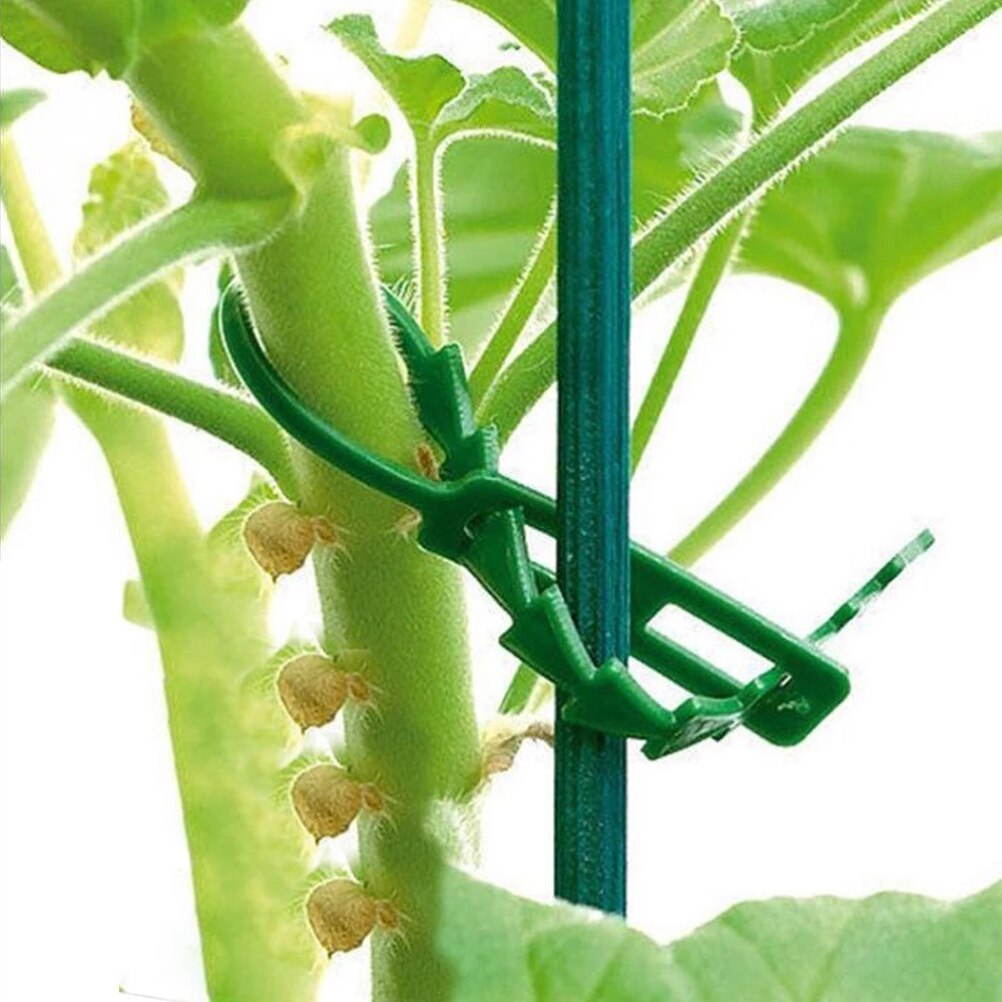 Braçadeiras Reutilizáveis para Jardim e Pomar