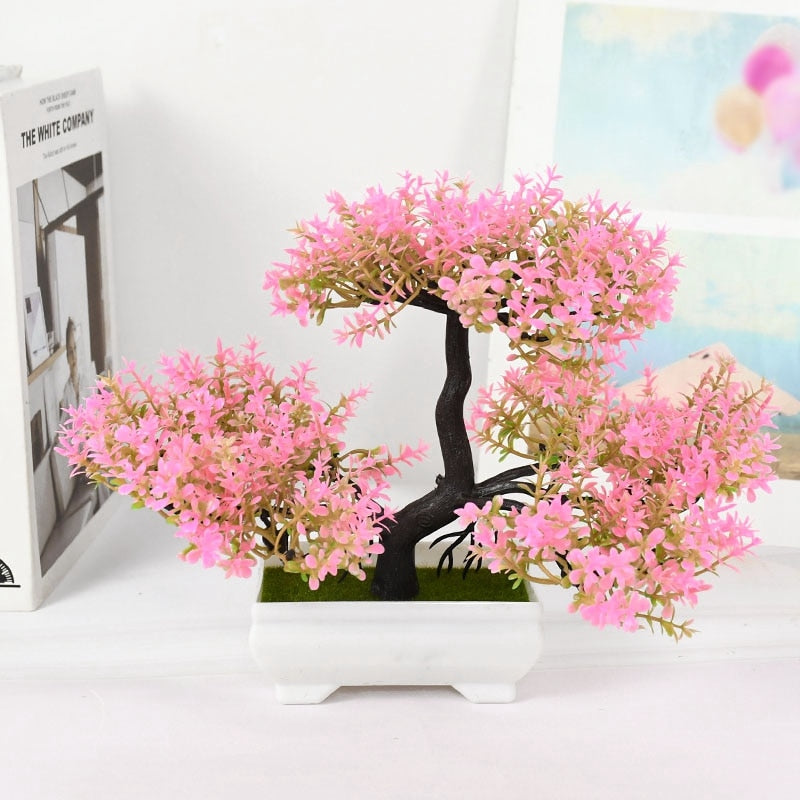 Planta Bonsai