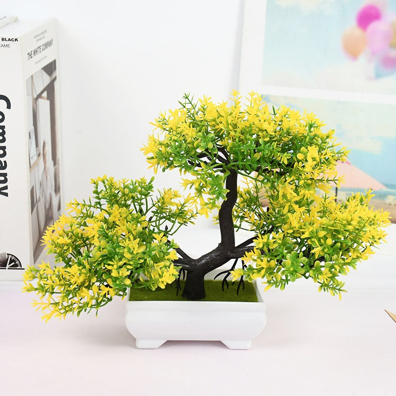 Planta Bonsai