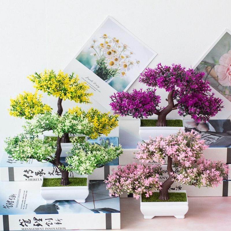 Planta Bonsai