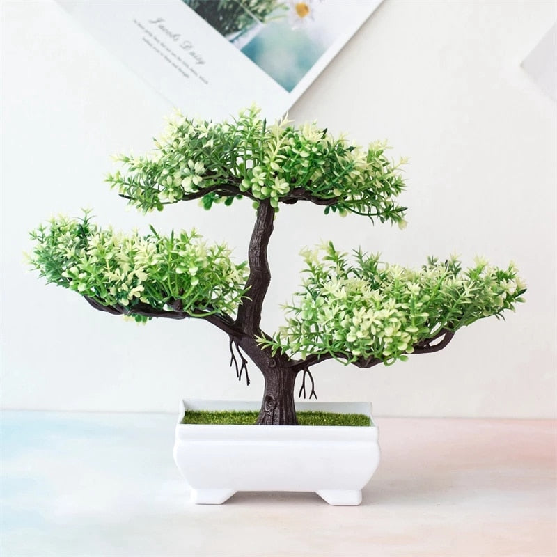 Planta Bonsai