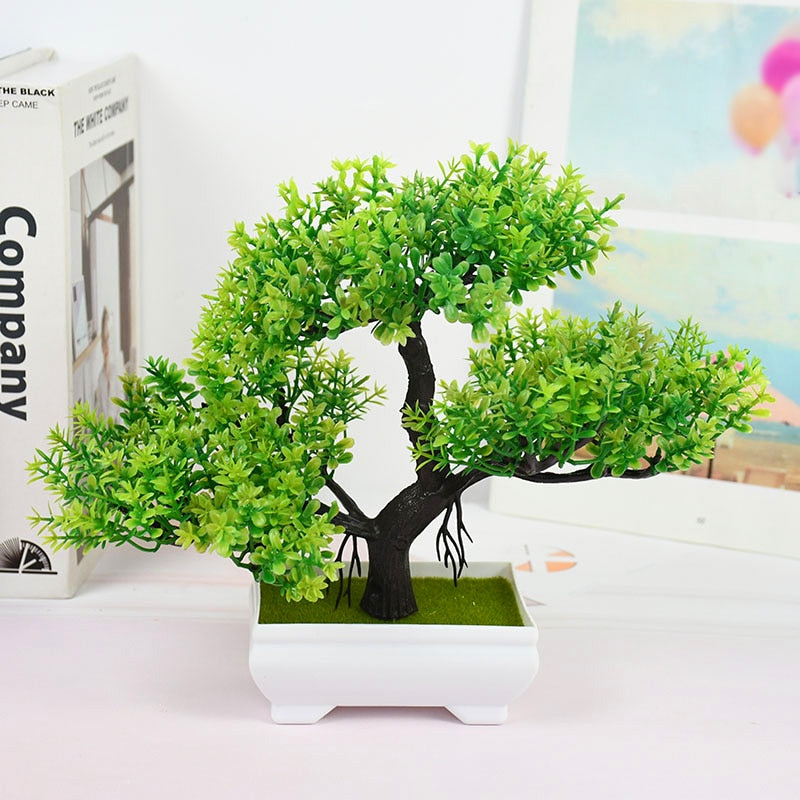 Planta Bonsai