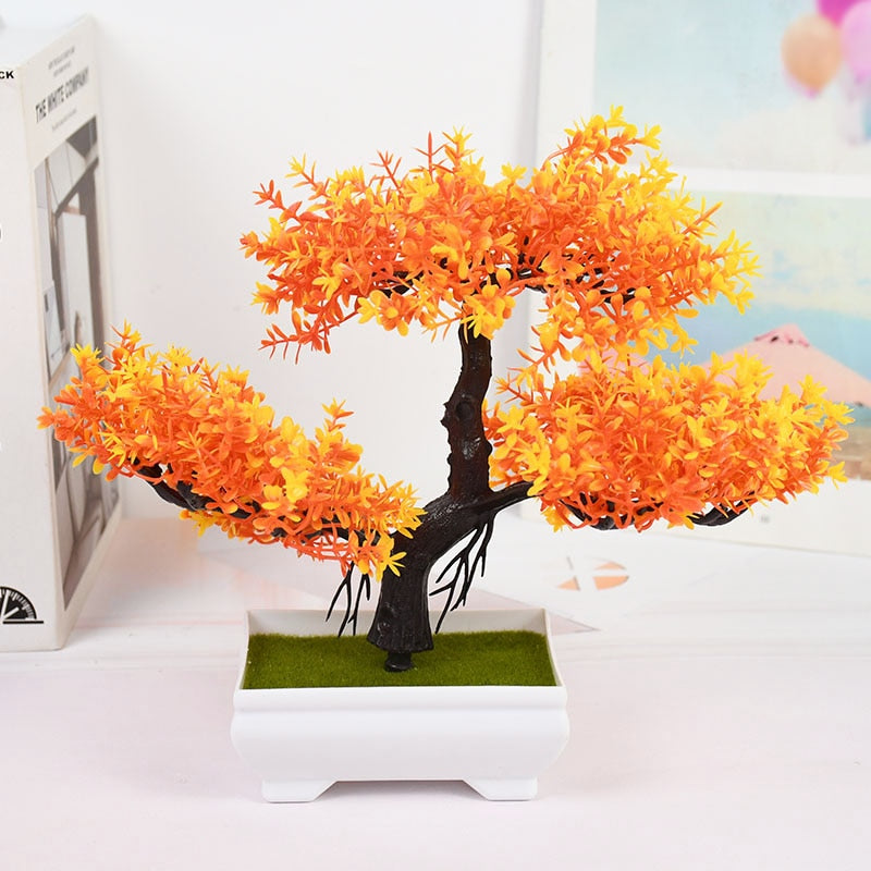 Planta Bonsai